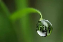 道教养生知识——气功点穴安身法