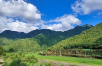 道教常用法事简介