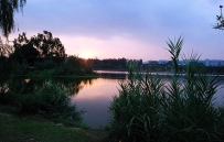 紫微斗数：命盘主星贪狼星坐命宫的补充解释