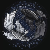 道教阴阳双修不等于男女双修