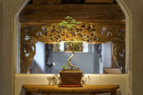 紫微斗数：在事业上如何判断自己是贵人运多，还是小人运多呢？