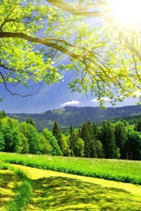 怎么衡量自己名字的好坏？(2)