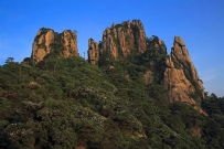 碰到这样的房子，再便宜也不能住