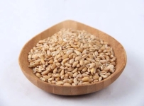 只用一味药，治出汗不止，气虚自汗，阴虚盗汗