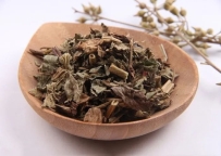 常用参芪虚火上浮，虚不受补？这两味好药，补气而不上火