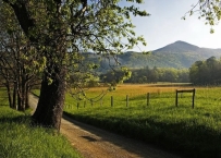 人生这四件大事，都需要选择良辰吉日