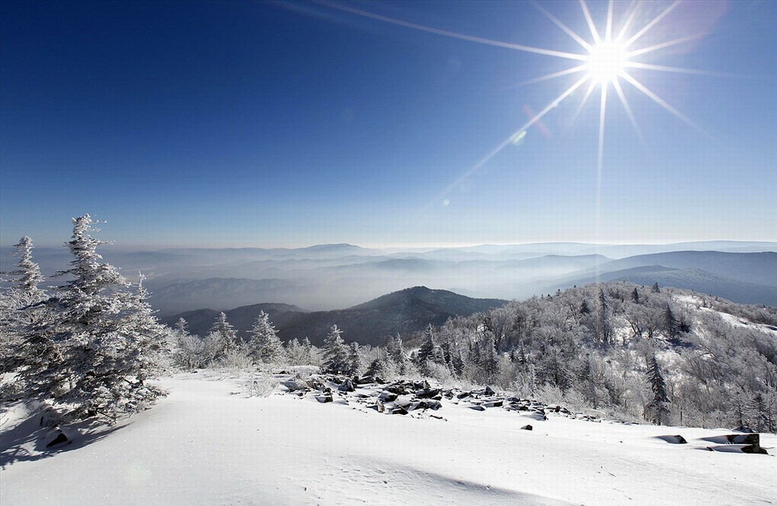 天书雷篆（下）