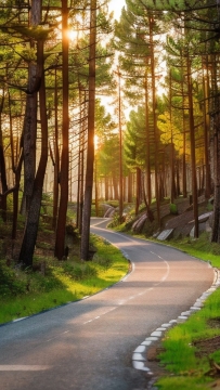 从“炼己”和“性命双修”这两方面，来谈谈张三丰祖师的丹道思想