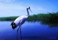 道教养生知识——气功点穴健身法之四