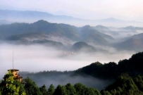 修行都说要修一个“真”字，那什么才是真呢？