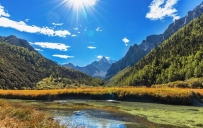 法箓、授箓、受箓与授符箓，几者有何区别？