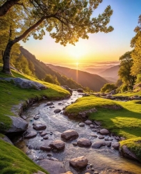 “凝神入气穴”要旨探析